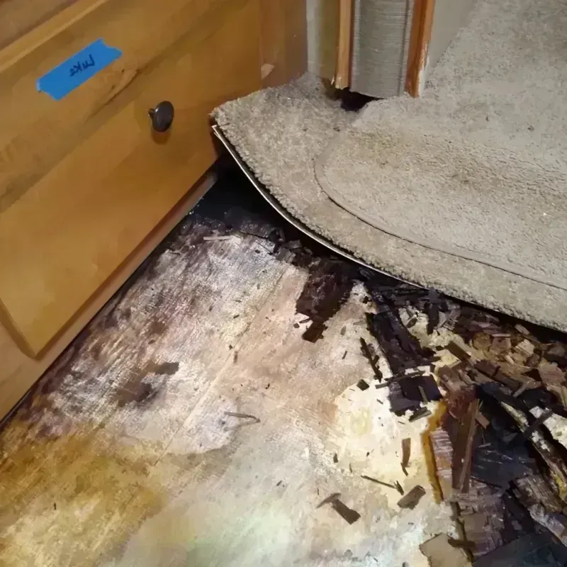 Wood Floor Water Damage in Eastland County, TX